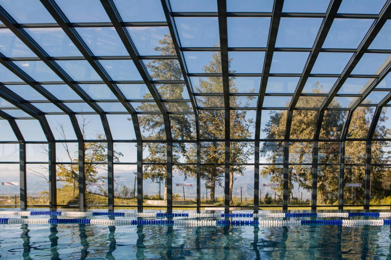 Tsinandali Estate, A Radisson Collection Hotel Bagian luar foto Swimming pool with a retractable roof