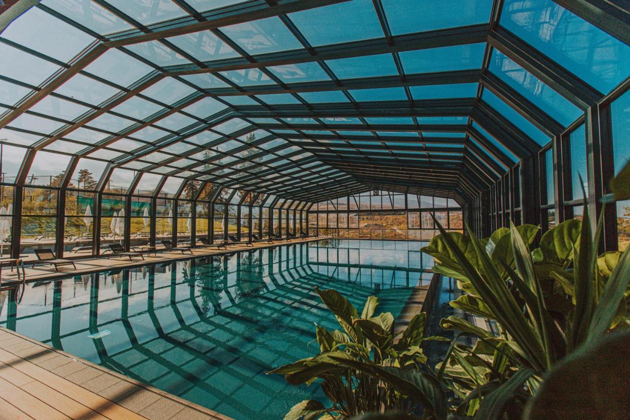 Tsinandali Estate, A Radisson Collection Hotel Bagian luar foto Swimming pool at the hotel